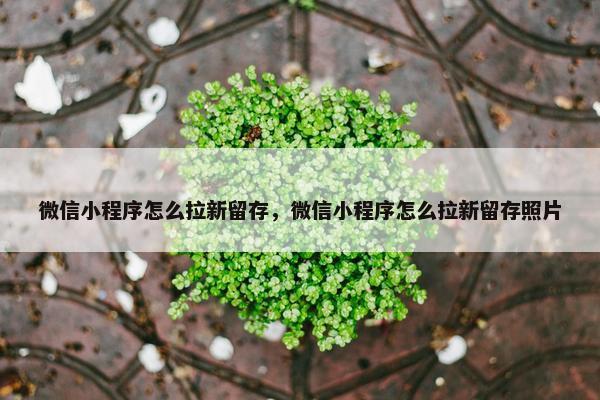 微信小程序怎么拉新留存，微信小程序怎么拉新留存照片
