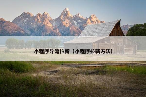 小程序导流拉新（小程序拉新方法）