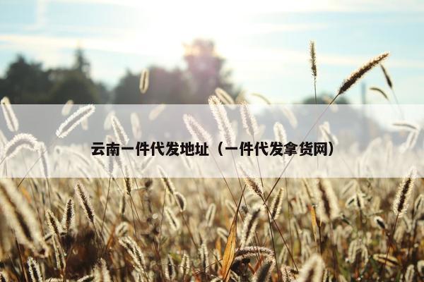 云南一件代发地址（一件代发拿货网）