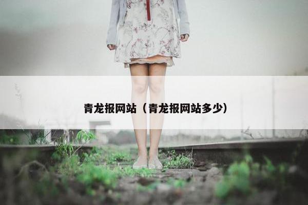 青龙报网站（青龙报网站多少）