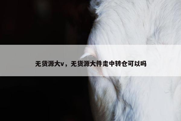 无货源大v，无货源大件走中转仓可以吗