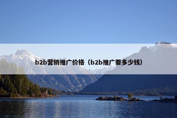 b2b营销推广价格（b2b推广要多少钱）