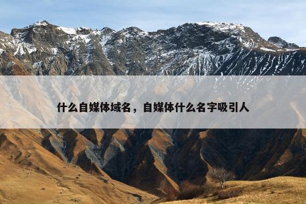 什么自媒体域名，自媒体什么名字吸引人