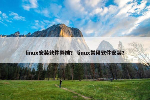 linux安装软件弊端？ linux常用软件安装？