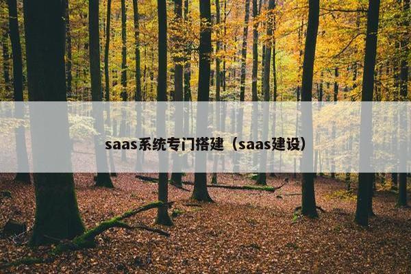 saas系统专门搭建（saas建设）