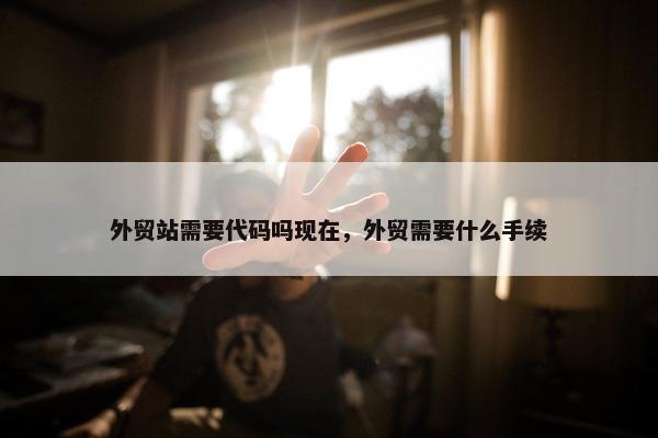 外贸站需要代码吗现在，外贸需要什么手续