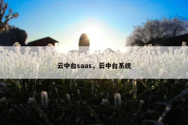 云中台saas，云中台系统