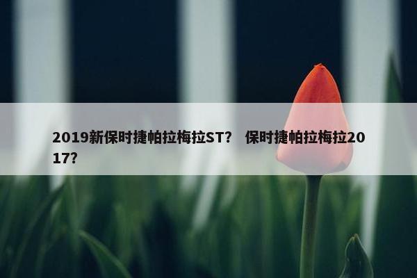 2019新保时捷帕拉梅拉ST？ 保时捷帕拉梅拉2017？