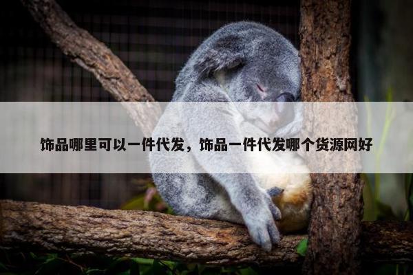 饰品哪里可以一件代发，饰品一件代发哪个货源网好