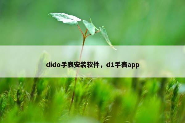 dido手表安装软件，d1手表app