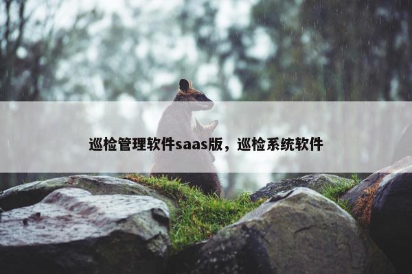 巡检管理软件saas版，巡检系统软件