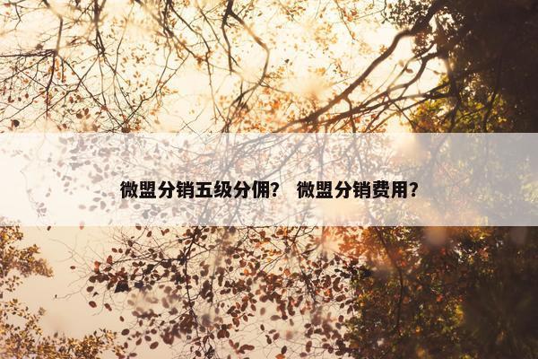 微盟分销五级分佣？ 微盟分销费用？
