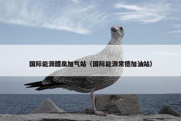 国际能源醴泉加气站（国际能源常德加油站）