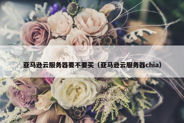 亚马逊云服务器要不要买（亚马逊云服务器chia）