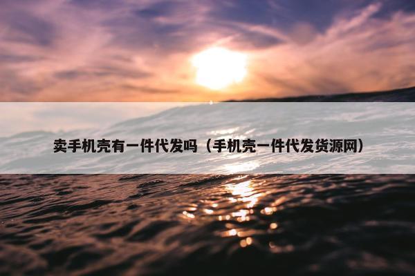 卖手机壳有一件代发吗（手机壳一件代发货源网）