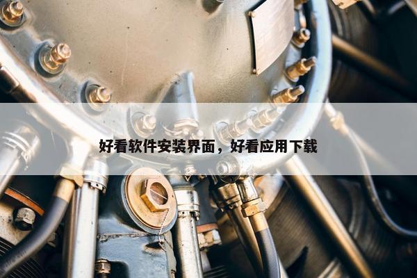 好看软件安装界面，好看应用下载