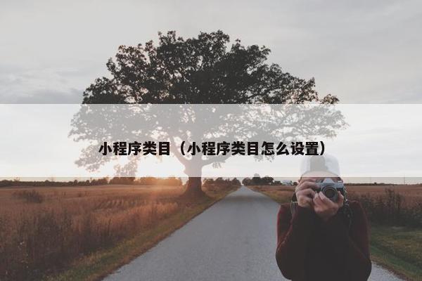 小程序类目（小程序类目怎么设置）