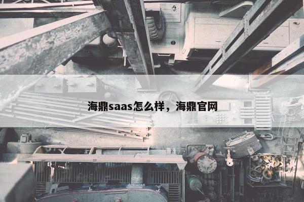 海鼎saas怎么样，海鼎官网