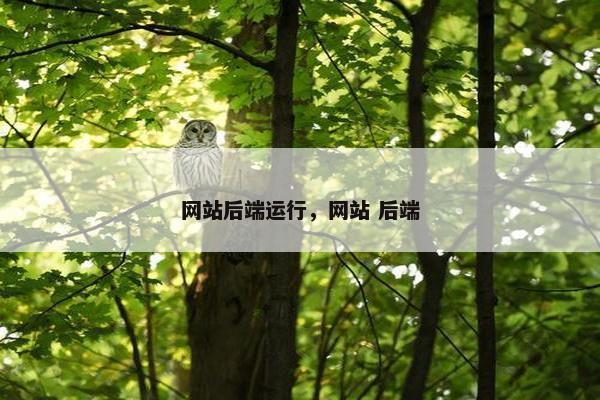 网站后端运行，网站 后端