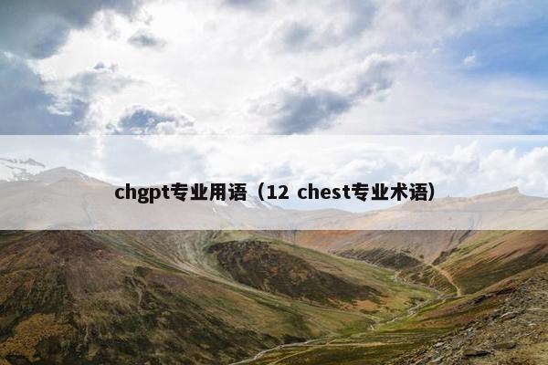 chgpt专业用语（12 chest专业术语）