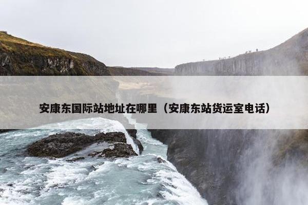 安康东国际站地址在哪里（安康东站货运室电话）