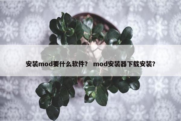 安装mod要什么软件？ mod安装器下载安装？