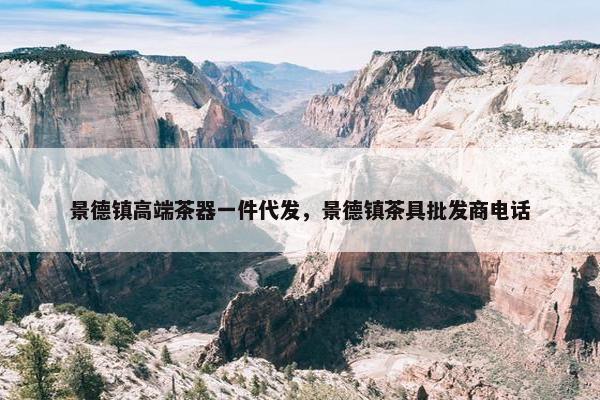 景德镇高端茶器一件代发，景德镇茶具批发商电话
