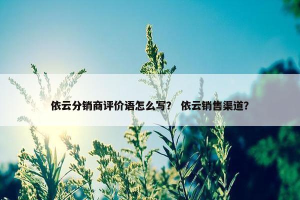 依云分销商评价语怎么写？ 依云销售渠道？