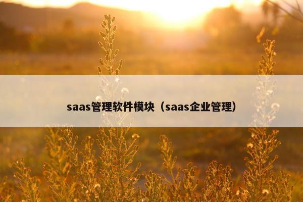 saas管理软件模块（saas企业管理）