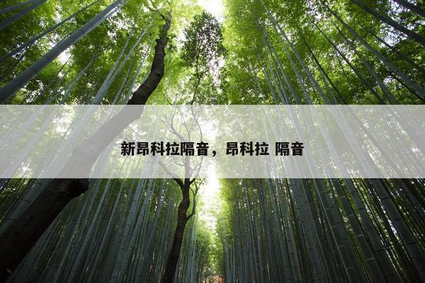 新昂科拉隔音，昂科拉 隔音