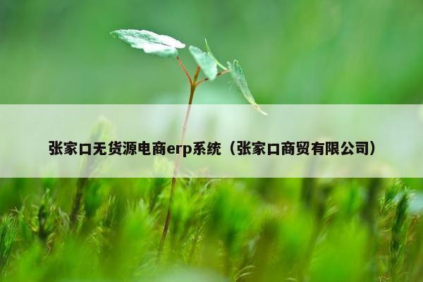 张家口无货源电商erp系统（张家口商贸有限公司）