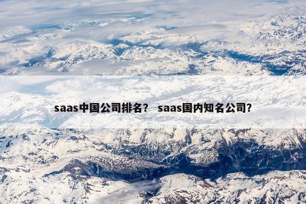 saas中国公司排名？ saas国内知名公司？