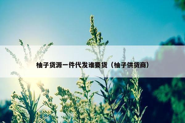 柚子货源一件代发谁要货（柚子供货商）