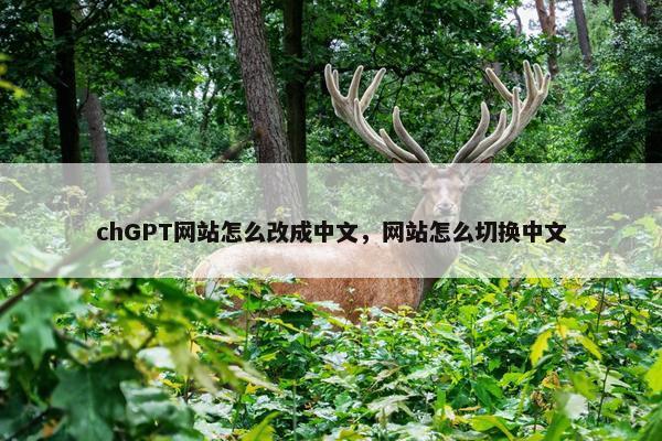 chGPT网站怎么改成中文，网站怎么切换中文