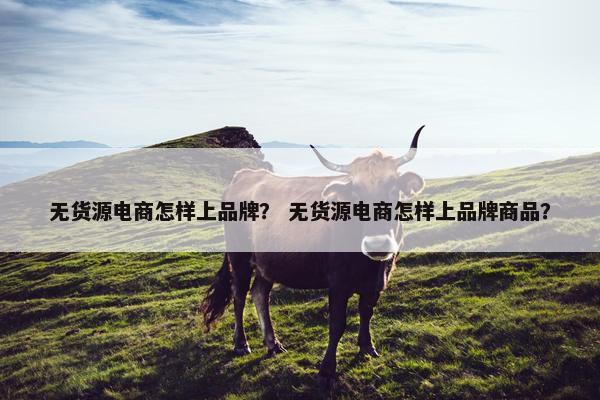 无货源电商怎样上品牌？ 无货源电商怎样上品牌商品？