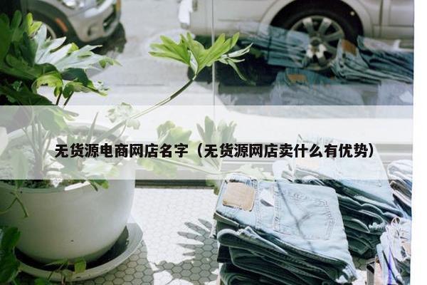 无货源电商网店名字（无货源网店卖什么有优势）