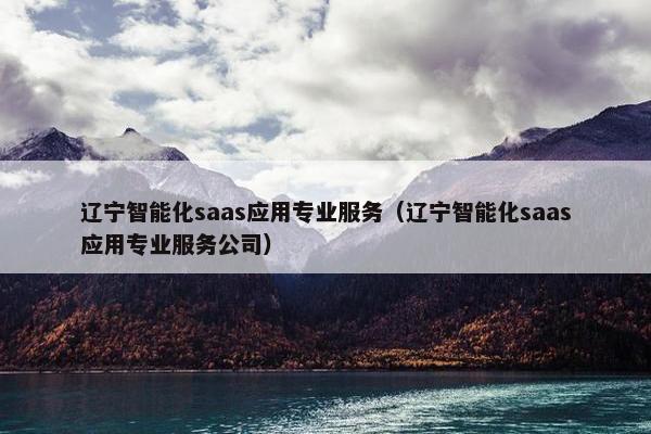 辽宁智能化saas应用专业服务（辽宁智能化saas应用专业服务公司）