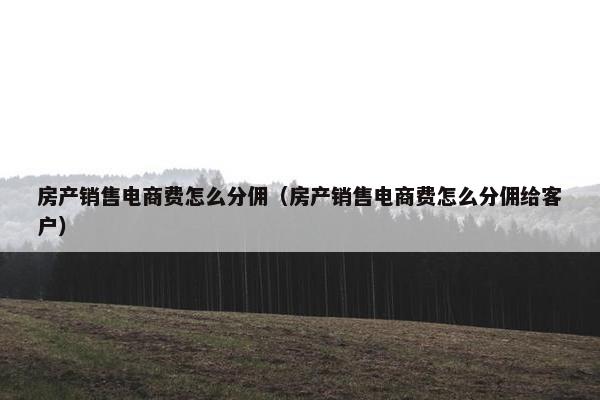 房产销售电商费怎么分佣（房产销售电商费怎么分佣给客户）
