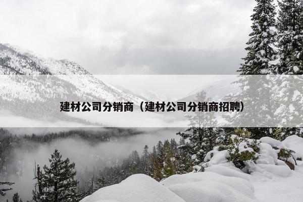 建材公司分销商（建材公司分销商招聘）