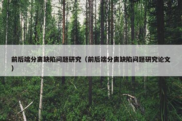 前后端分离缺陷问题研究（前后端分离缺陷问题研究论文）
