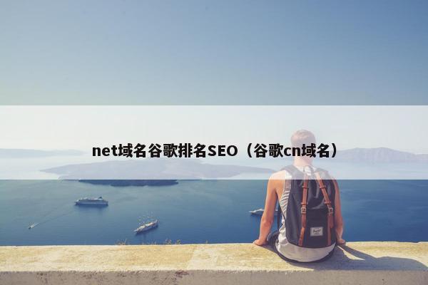 net域名谷歌排名SEO（谷歌cn域名）