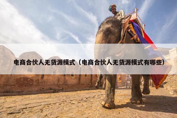 电商合伙人无货源模式（电商合伙人无货源模式有哪些）
