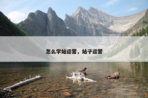 怎么学站运营，站子运营