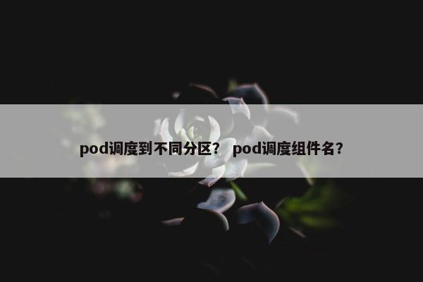 pod调度到不同分区？ pod调度组件名？