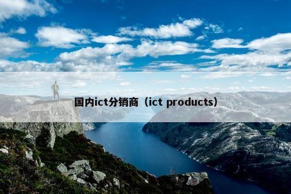 国内ict分销商（ict products）