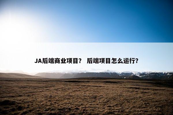 JA后端商业项目？ 后端项目怎么运行？