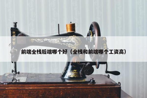 前端全栈后端哪个好（全栈和前端哪个工资高）