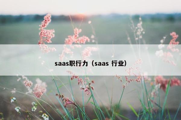 saas职行力（saas 行业）