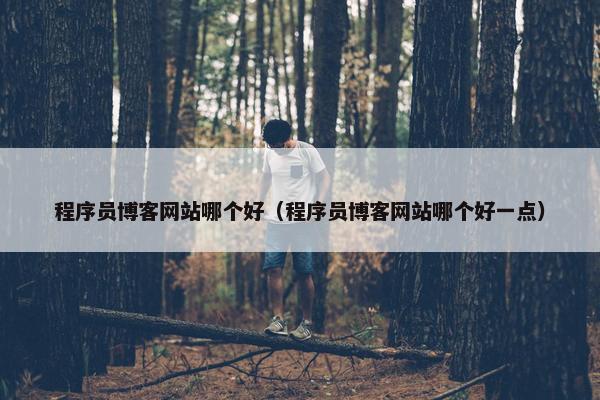 程序员博客网站哪个好（程序员博客网站哪个好一点）