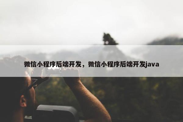 微信小程序后端开发，微信小程序后端开发java